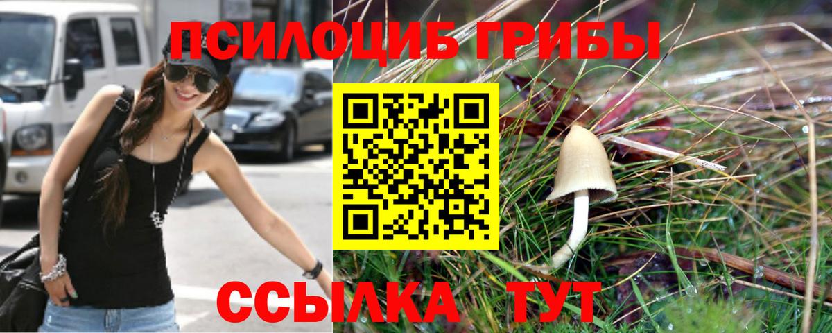 Псилоцибиновые грибы Psilocybe  Галлюциногенные грибы мицелий  Вход с VPN  Пугачёв 