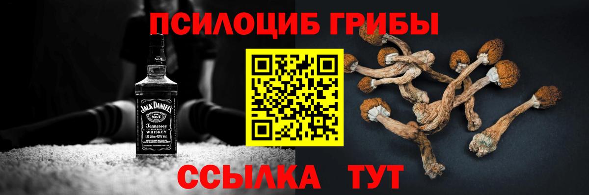 Галлюциногенные грибы Magic Shrooms Пугачёв